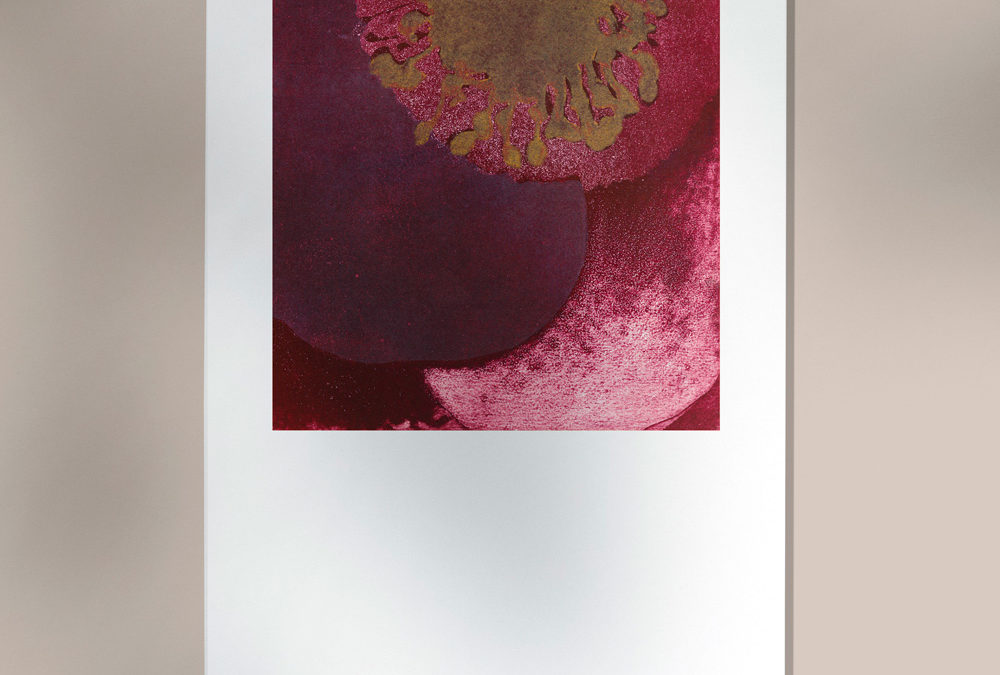 Amapola 2