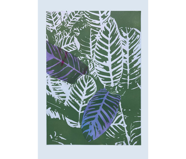 Calatea cebra In Blue (enmarcado)