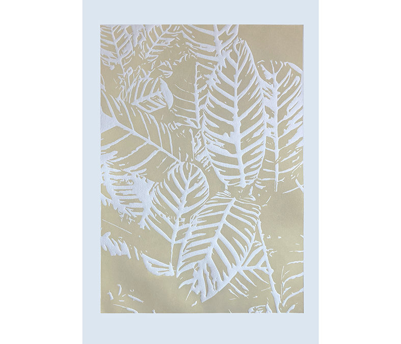 Calatea cebra beige (enmarcado)